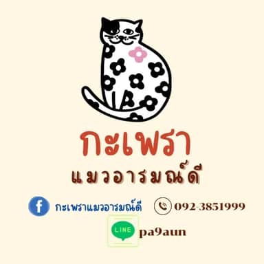 กะเพรา แมวอารมณ์ดี