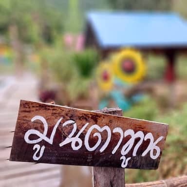 มูนตาทูน